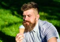 Bearded man with ice cream cone. Temptation concept. Man with beard and mustache on calm face enjoy ice cream, grass on