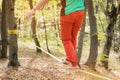 A bearded man in return is developing balance while walking along the slackline in the autumn forest on a sunny day. The Royalty Free Stock Photo