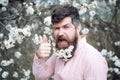 Bearded man show thumbs up at blossoming trees. Happy man with cherry blossom in beard. Hairdresser salon. Hipster enjoy