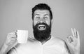 Bearded man smiling showing sign ok. Good morning, man tea, ok. Smiling hipster man with cup of fresh coffee, Happy man Royalty Free Stock Photo