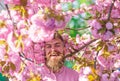 Bearded man with stylish haircut with sakura flowers on background. Man with beard and mustache on smiling face near Royalty Free Stock Photo