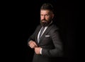 Bearded man suit fashion. Luxury classic suits, vogue. Man in classic suit, shirt and tie. Business man concept. Royalty Free Stock Photo