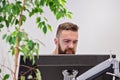 Bearded man works behind computer monitor in modern office with live ficus Royalty Free Stock Photo