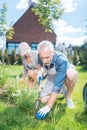 Bearded mature man holding little shovel while grubbing the weeds up Royalty Free Stock Photo