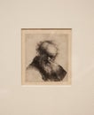 Bearded old man from 1631 by Rembrandt