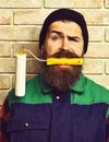 Bearded painter man holding roller paint with satisfied face Royalty Free Stock Photo