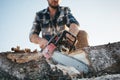 Bearded professional lumberjack wprker wearing plaid shirt using chainsaw for work on sawmill