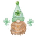 Bearded scandi gnome in green hat and clover leaves. Patricks day character, isolated