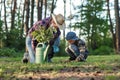 Attractive bearded senior grandfather with his lovely grandson on green lawn planting oak seedling and pour with water. Royalty Free Stock Photo