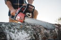 Bearded strong lumberjack wearing plaid shirt sawing tree with chainsaw for work on sawmill Royalty Free Stock Photo