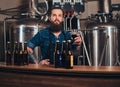 Bearded tattooed hipster male in a jeans shirt and apron working in a brewery factory, standing behind a counter, holds Royalty Free Stock Photo