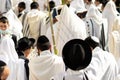 A bearded ultra-Orthodox man wearing a tallit, holding the four species during the Sukkot holiday prayer at the Western Wall