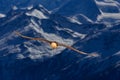 Bearded Vulture or Lammergeier, Gypaetus barbatus, flying bird above rock mountain. Rare mountain bird, fly with snow, animal in Royalty Free Stock Photo