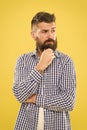 Bearded for your pleasure. Bearded man on yellow background. Bearded hipster touching his unshaven chin. Brutal