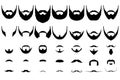 Beards big collection