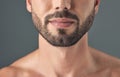 Beards are the ultimate symbol of masculinity. Closeup shot of a mans face against a grey background. Royalty Free Stock Photo