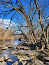 Beargrass Creek with trees and vibrant blue skies in Cherokee Park, Louisville, Kentucky, in winter. Royalty Free Stock Photo