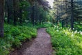 Beargrass Glacier National Park Royalty Free Stock Photo