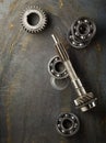 Bearing and gear Royalty Free Stock Photo