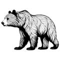 Stylized bear vector illustration, black and white, isolated on white, perfect for art prints Royalty Free Stock Photo