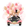 Bears in a wedding car with balloons