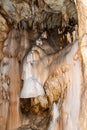 Bears cave from Bihor county