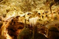 BEARS' CAVE located in the western Apuseni Mountains