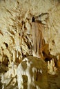 BEARS' CAVE located in the western Apuseni Mountains