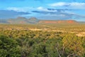 Bears Ears National Monument with Buttes and Southwest Desert Landscape in Evening Light, Utah Royalty Free Stock Photo