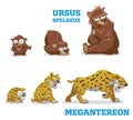 Bears and leopards. Vector illustration of pleistocene baby, young and adult wild animals bear and leopard