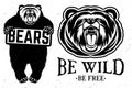 Bears logo