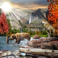 Bears playing in an autumn lake in Yosemite.