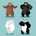 bears set Breed. Grizzly and panda. American black bear baribal. Polar. Different poses wild animal. Carnivorous animals Royalty Free Stock Photo