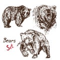 Bears set: sanding, growling, hunting salmon, with inscription