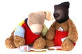 Beary Bank Robbers