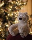 Beary Christmas