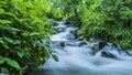 Beas river flowing in Manali Royalty Free Stock Photo