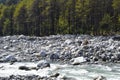 Beas River flowing through woods of manali Royalty Free Stock Photo