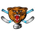 Beast bear from the front view with hockey puck crossed stick. Logo for any sport team grizzly isolated on white
