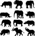 Beast duel: Elephants and rhinos