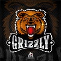 Beast face from the front with bared teeth. Logo for any sport team grizzly on dark