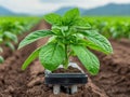 Smart Irrigation Designs Innovative Concepts for Thriving Summer Gardens in Challenging Climates Discover efficient water