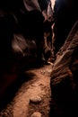 Beaten Down Sand Pathway Snakes Through Buckskin Gulch