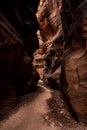 Beaten Down Trail Snakes Through Narrow Slot Canyon