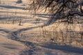 Beaten path through a snow-covered field