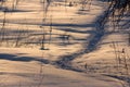 Beaten path through a snow-covered field