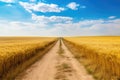 a beaten pathway winding through golden wheat fields