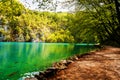 Beaten track near a forest lake in Plitvice Lakes National Park, Croatia Royalty Free Stock Photo