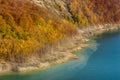 Beatiful autumn landscape with golden colored trees on the shores of Siriu lake