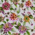 Beatiful bright lantana flowers with green leaves on light grey background. Seamless floral pattern. Watercolor painting. Royalty Free Stock Photo
